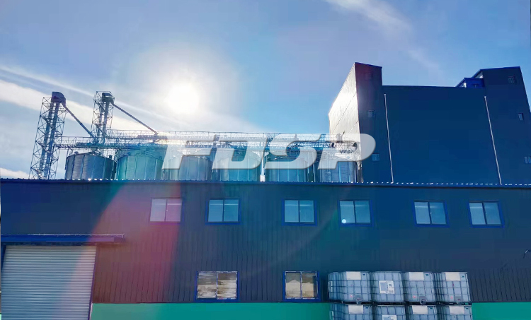 कुलुन बैनर, इनर मंगोलिया (图1) में 180,000 टन के वार्षिक उत्पादन के साथ पशुधन और कुक्कुट + जुगाली करने वाले फ़ीड उत्पादन लाइन की कमीशनिंग पूरी की गई। बाहरी.जेपीजी