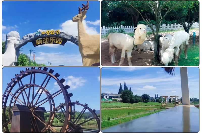 "कोई वायरस नहीं, बिक्री के लिए लड़ाई और उत्पादन को बढ़ावा देना, हम एक साथ हैं" 2022 FDSP अवकाश और खुशहाल दौरा सफलतापूर्वक पूरा हुआ (图1) यात्रा 3.jpg