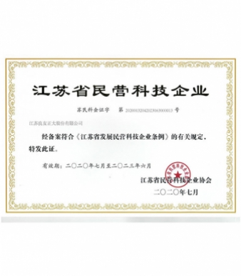 निजी प्रौद्योगिकी उद्यम