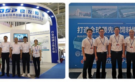 घरेलू के आधार पर, वैश्विक के लिए सेवा -- FDSP प्रकट होता है (VIV China 2018)