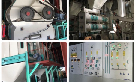 म्यांमार में 30tph पशुधन और कुक्कुट चारा उत्पादन परियोजना को पूरा किया गया और उत्पादन में लगाया गया