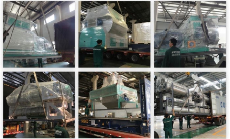 फेस ग्लोबल मार्केट, एक अंतर्राष्ट्रीय ब्रांड बनाएं - मिस्र 50tph पशुधन और पोल्ट्री फीड उत्पादन लाइन 