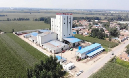 शेडोंग में दो और परियोजनाओं की सफलतापूर्वक जाँच की गई और उन्हें स्वीकार किया गया। 45TPH उच्च ग्रेड प