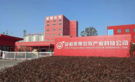 अनहुई डबल-लाइन SZLH420 पशुधन और पोल्ट्री फीड उत्पादन लाइन पूरी हो गई और उत्पादन में डाल दी गई